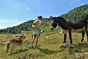 Cima Alben (2020 m) in periplo dal Passo della crocetta il 26 luglio 2020- FOTOGALLERY